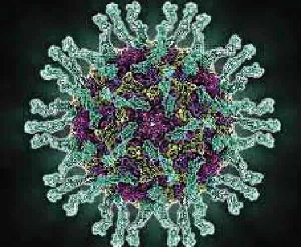 Kwara begins statewide polio immunisation Saturday