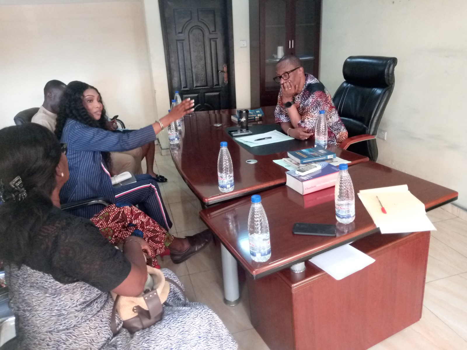 BRACED Commission Sets Up Steering Committee to Drive South-South Development