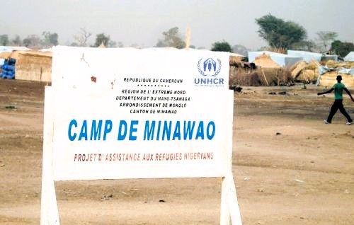 Pregnant Nigerian Refugee Killed in Suspected Attack at UN Camp in Cameroon