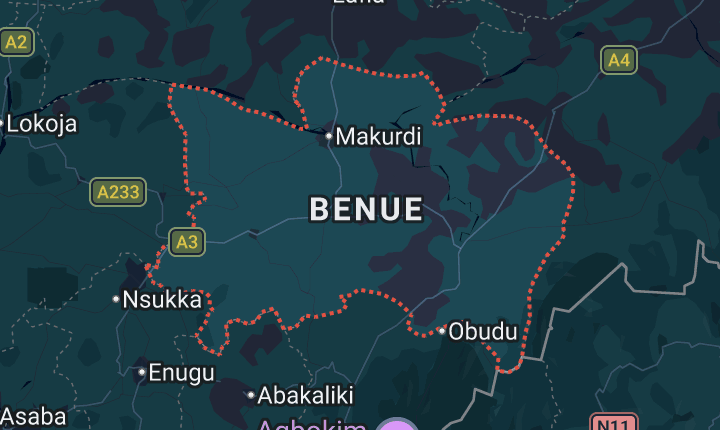 Benue Records 11 Lassa Fever Cases, 4 Deaths as Government Intensifies Response