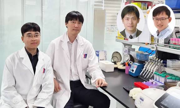 Scientists Create Sprayable Powder That Instantly Seals Severe Wounds