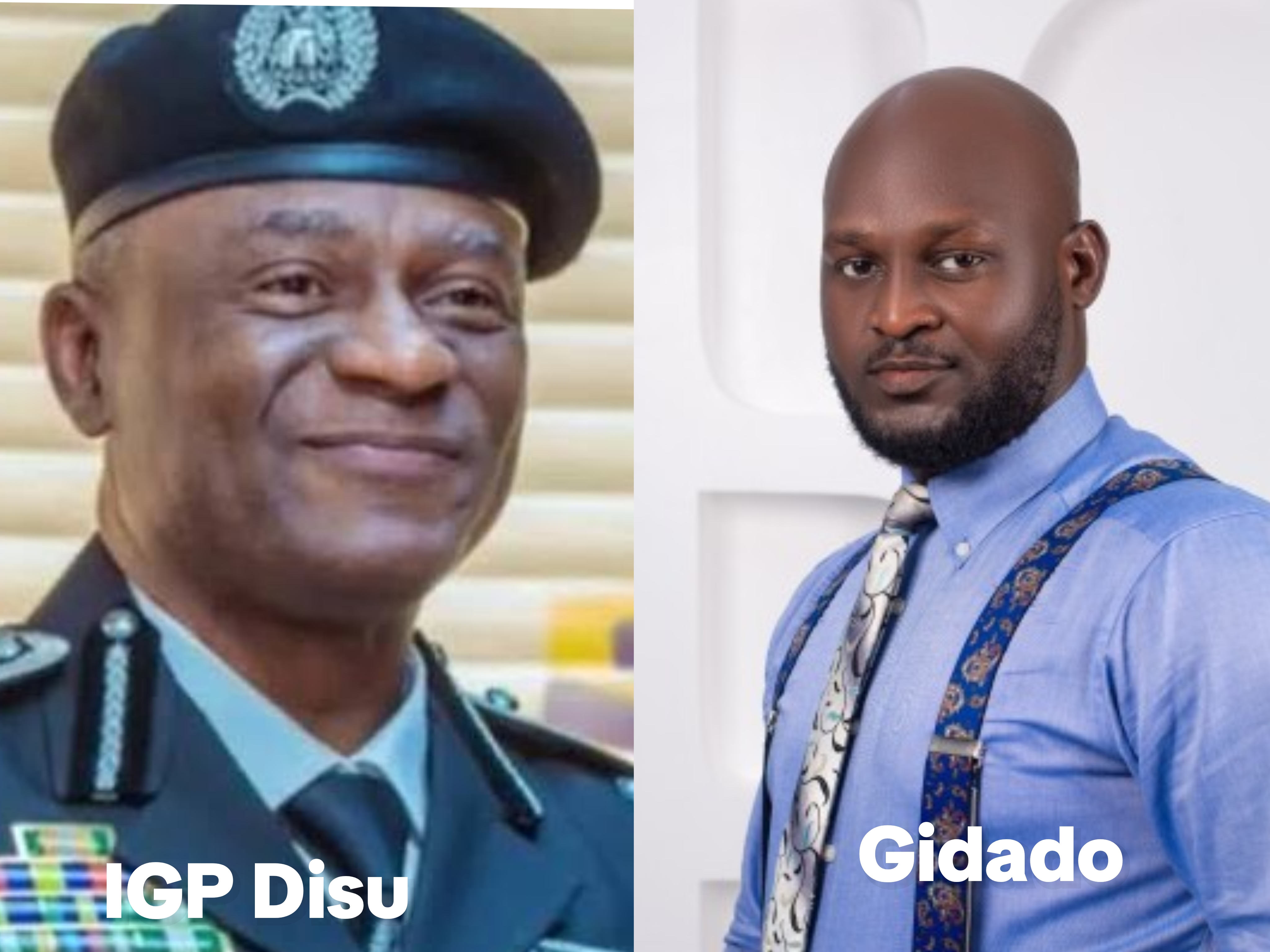 Security Expert Calls for Stronger Police, Backs IGP Disu’s Community-Focused Reforms