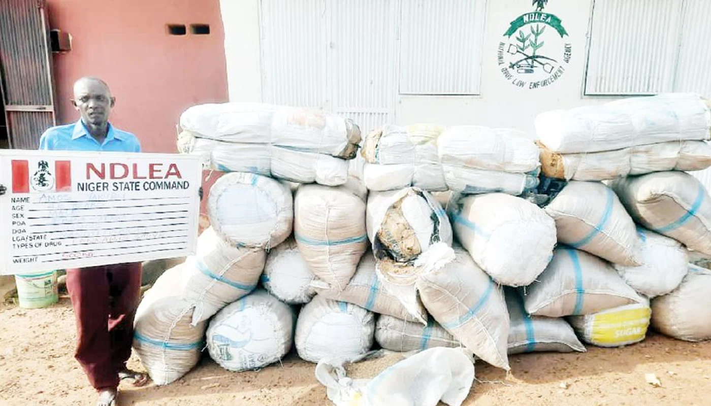 NDLEA seizes 7.6m tramadol pills, 76,273kg cannabis in nationwide crackdown