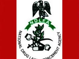 Cannabis Tops Illicit Drug Use in Nigeria — NDLEA Boss