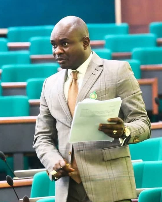 COURT STRIKES OUT FARAH DAGOGO’S SUIT ON RIVERS EMERGENCY RULE; EX-LAWMAKER HEADS TO APPEAL