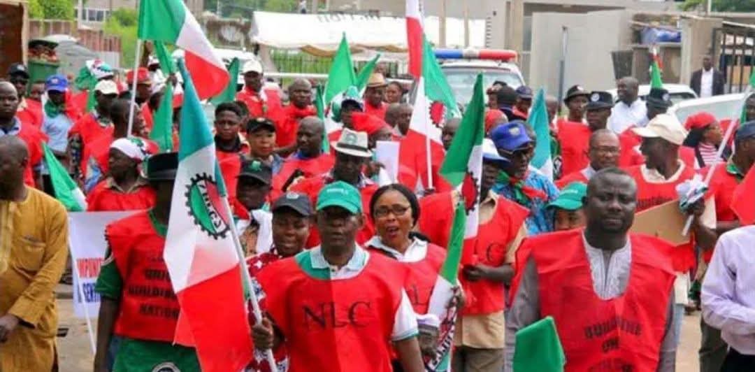 NLC Warns: Electoral Act Confusion Threatens Democracy