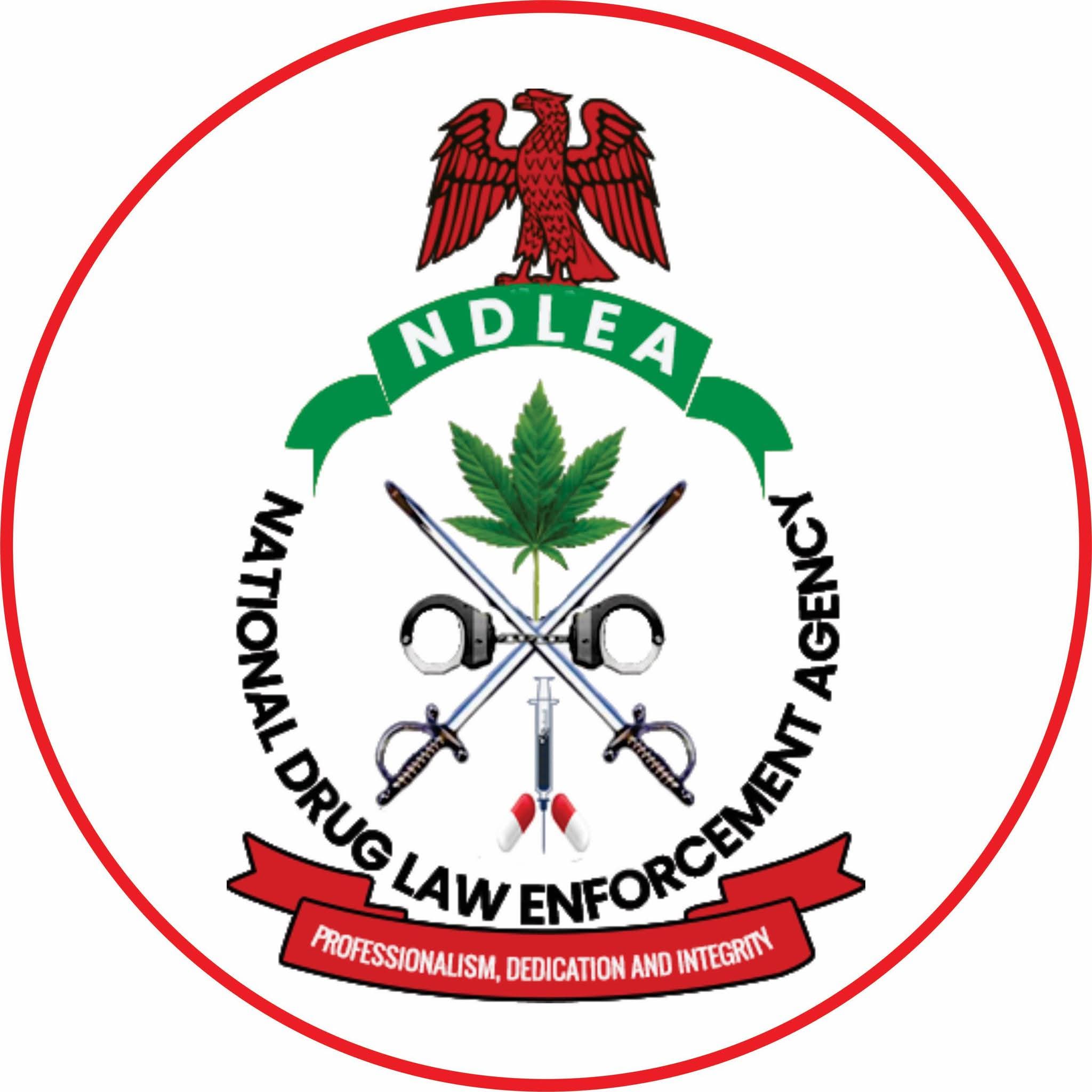 NDLEA Nabs Notorious Drug Kingpin After 13 Years on the Run