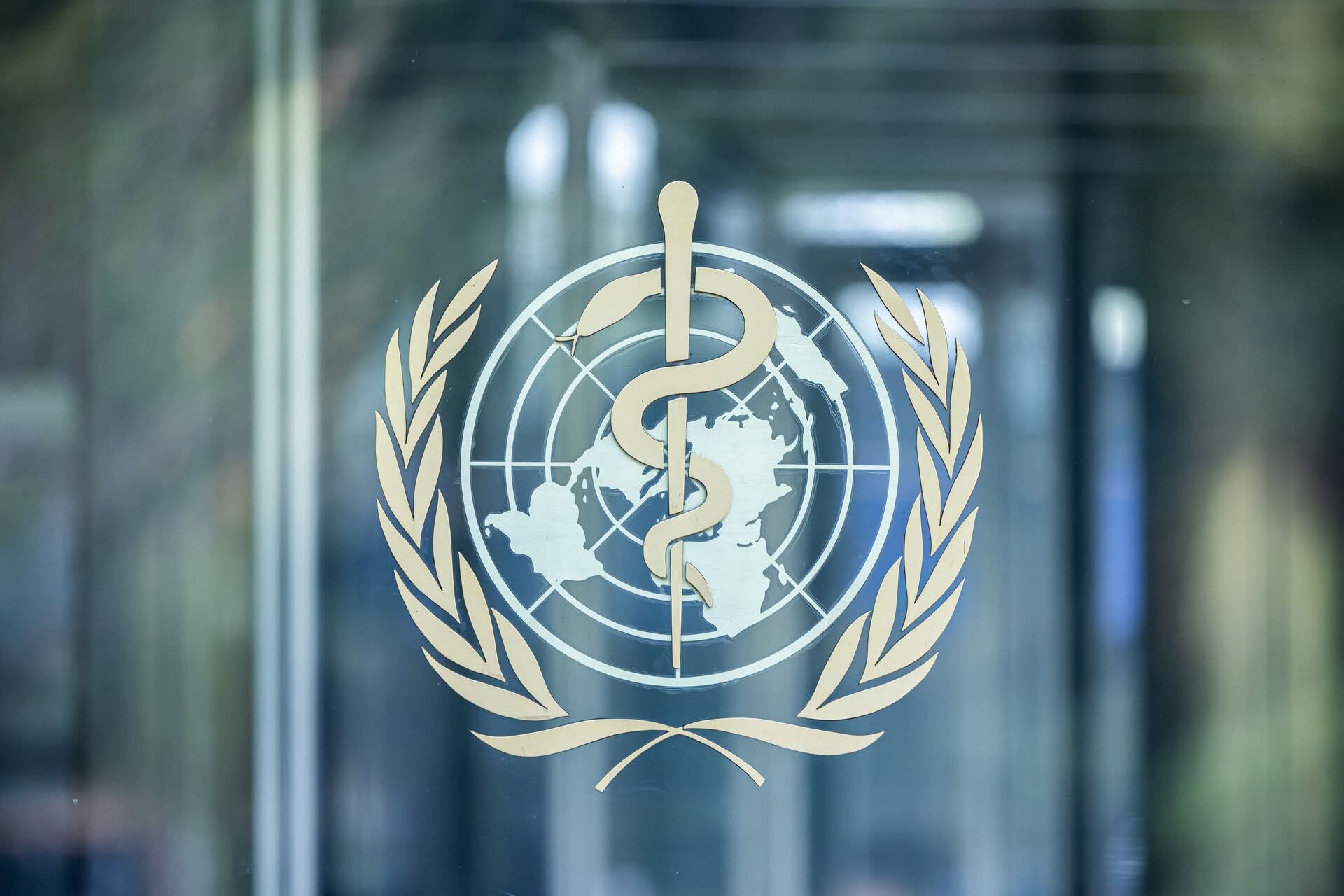 WHO: No Vaccine, Specific Treatment for Ebola Strain in Nigeria