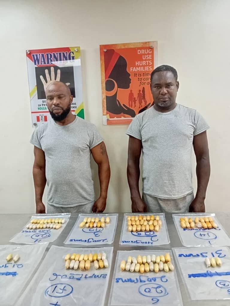 NDLEA Arrests Brazil Returnees, Businesswoman, Others; Intercepts Multi-Kilo Drug Shipments Across States