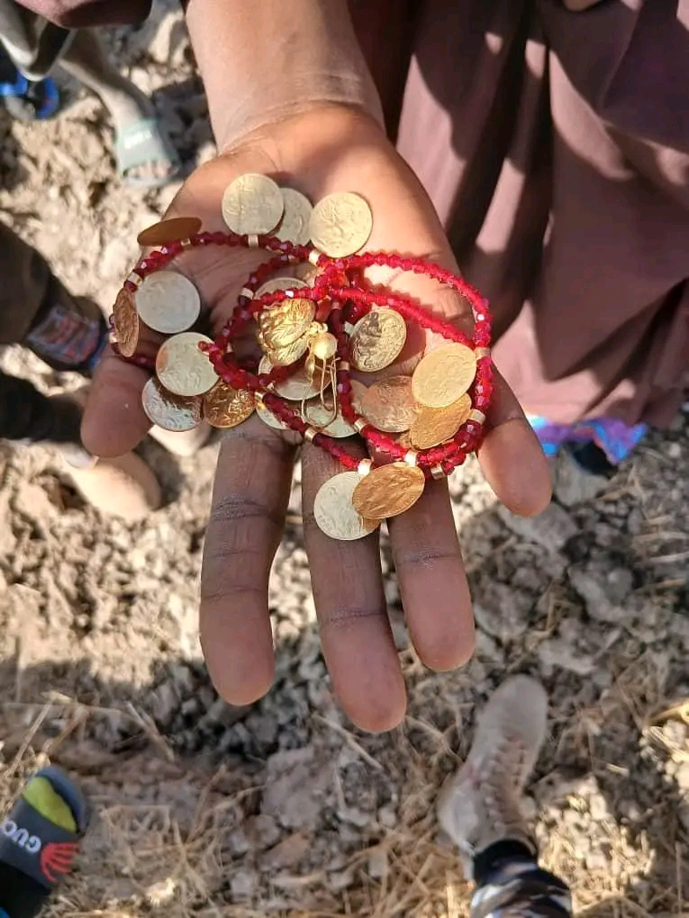 Police Recover N23.6m Gold Buried by Woman During Boko Haram Attack 15 Years Ago