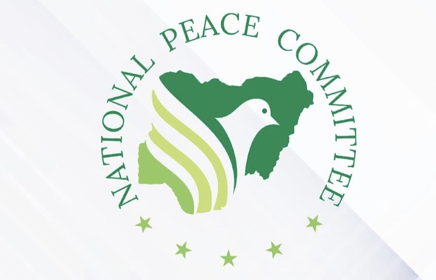 2027 Polls: Peace Committee Records 60 Violations