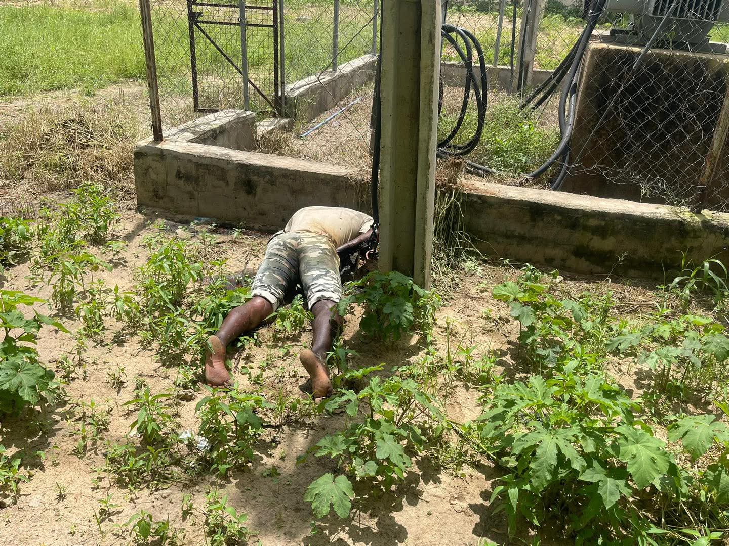 Electrocution Death Indicates Rising Transformer Vandalism in Borno